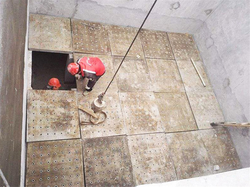 ����������˰尸��չʾ